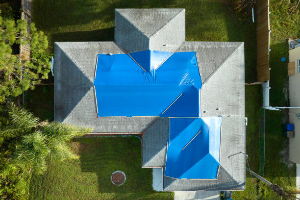 Best Roof Moss and Algae Removal  in Fairland, OK